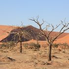 Sossusvlei - Namibia