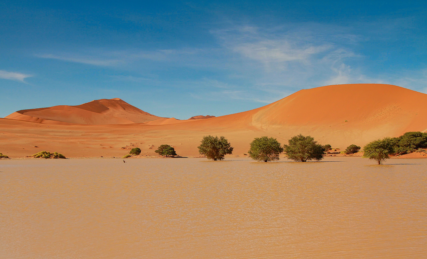 Sossusvlei, Namibia