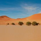 Sossusvlei, Namibia