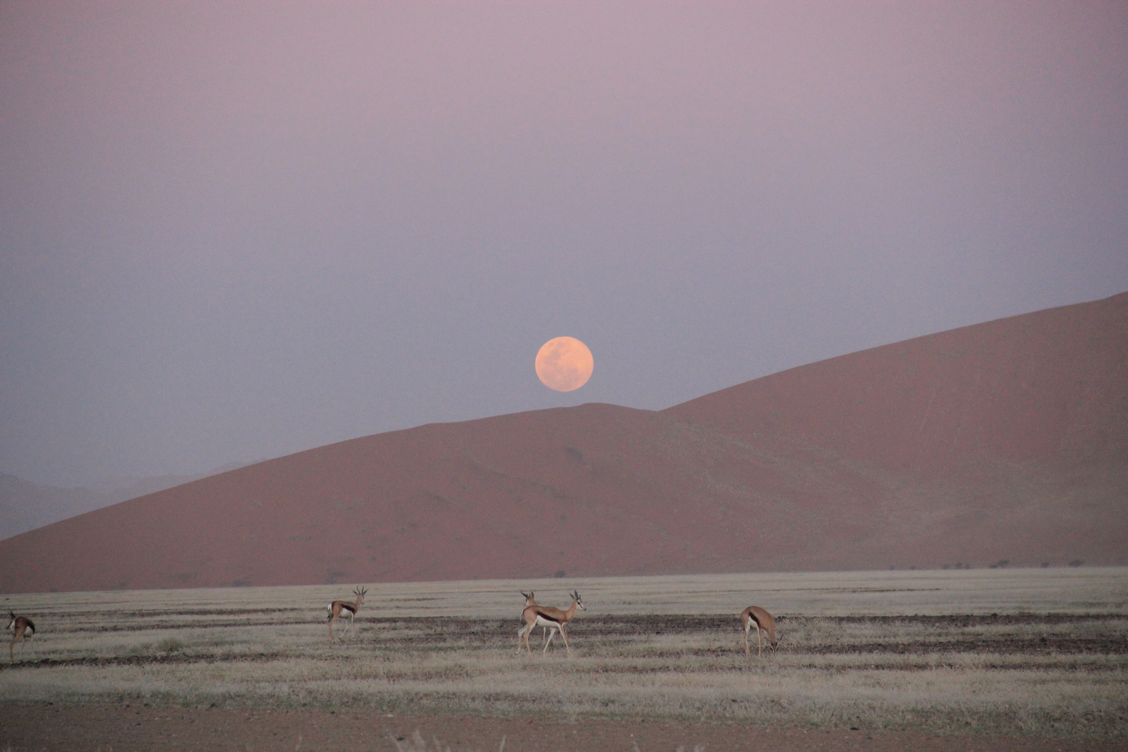 Sossusvlei - Namibia