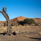 Sossusvlei (Nov. 2013)