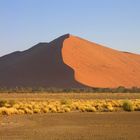 Sossusvlei Part I