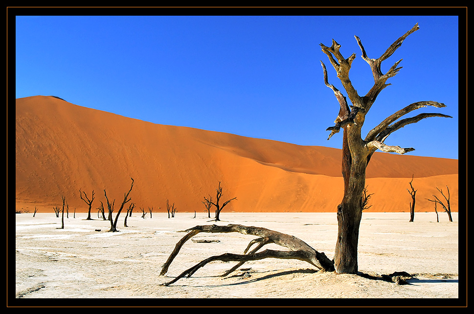 Sossusvlei Part V