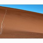 Sossusvlei Part X