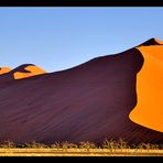 Sossusvlei Part XII