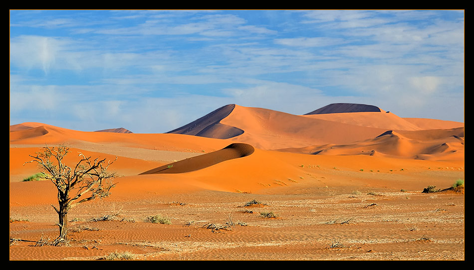 Sossusvlei Part XVII