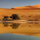 ~ SOSSUSVLEI-SPIEGEL ~