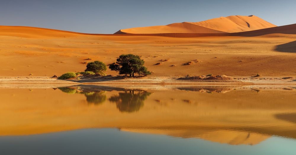 ~ SOSSUSVLEI-SPIEGEL ~