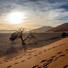 Sossusvlei Sunrise