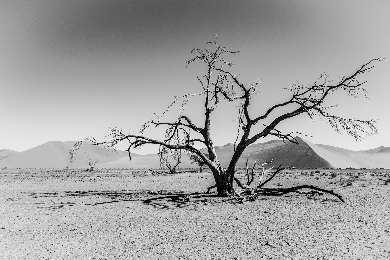 Sossusvlei s/w