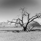 Sossusvlei s/w