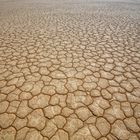 **Sossusvlei Trockenbett des ( Dead Vlei )