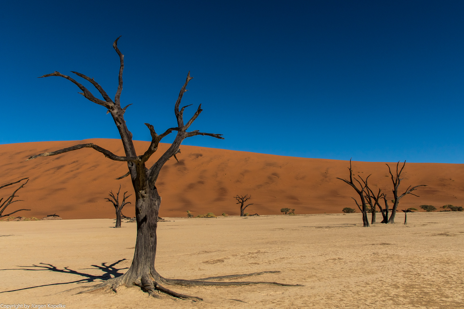 Sossusvlei und Dead Vlei