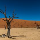 Sossusvlei und Dead Vlei