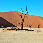 Sossusvlei_4