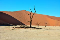 Sossusvlei_4