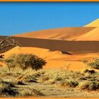 Sossusvlei/Namib