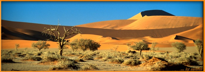 Sossusvlei/Namib