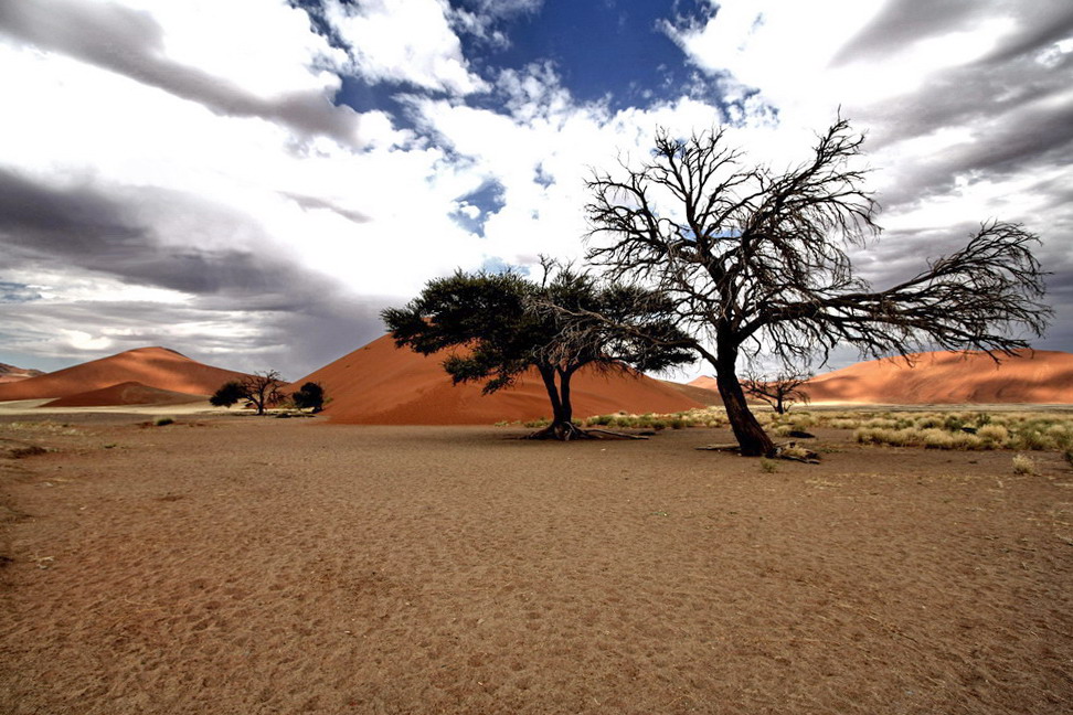 Sossusvlei.Namibia. Juni 2008