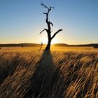 Sossuvlei