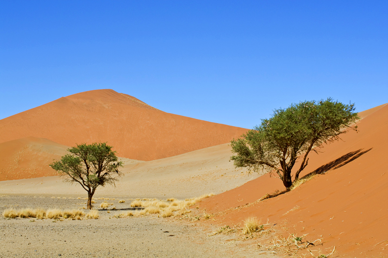 Sossuvlei II