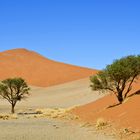 Sossuvlei II