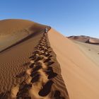 Sossuvlei Spuren