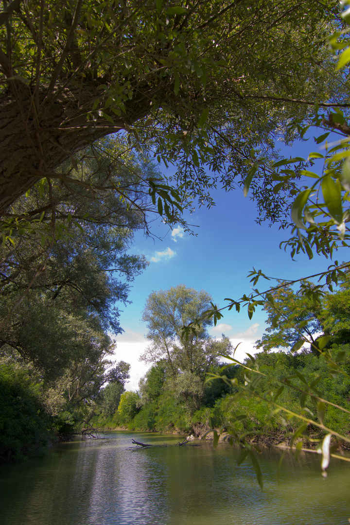 sosta sul fiume