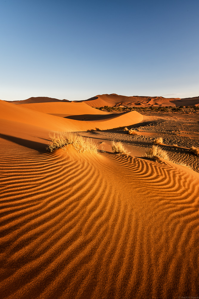 SOSUSSVLEI I