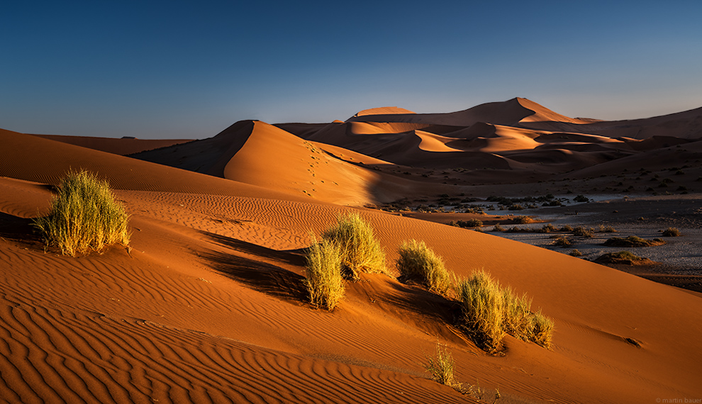 SOSUSSVLEI II