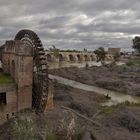 SOTOS DE LA ALBOLAFIA (DESTROZOS)