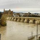 Sotos de la Albolafía.(Córdoba)