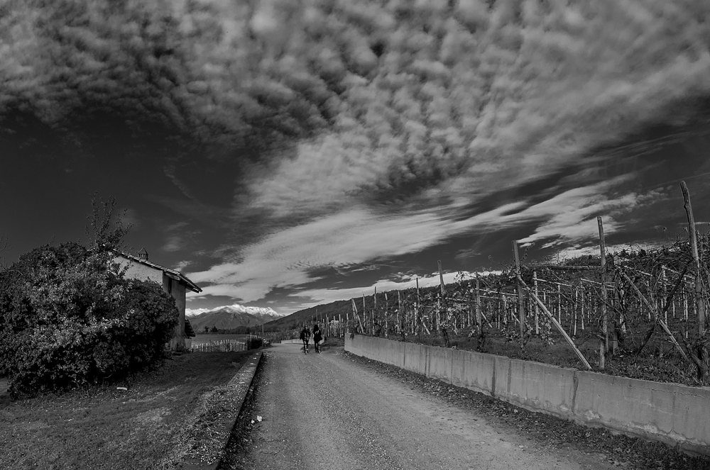 SOTTO IL CIELO DI NOVEMBRE