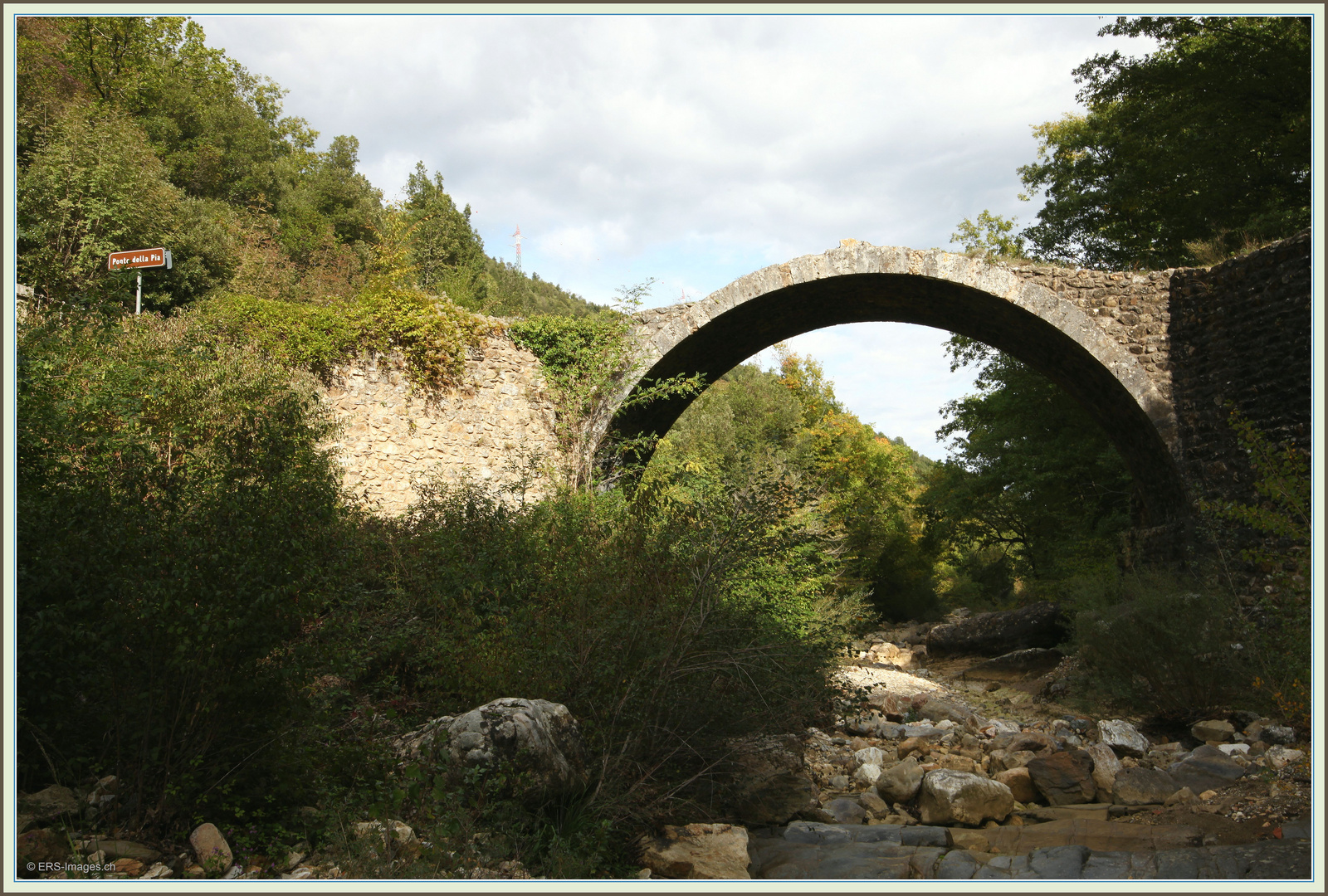 Sotto il Ponte della Pia 5D 2017-10-10 050 (19) Riserva Naturale Alto Merse ©