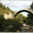 Sotto il Ponte della Pia 5D 2017-10-10 050 (19) Riserva Naturale Alto Merse ©