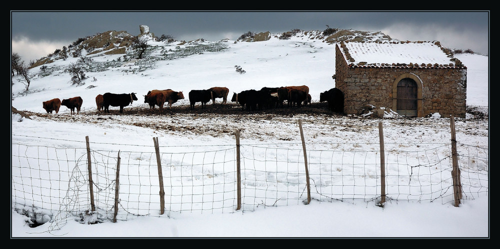 Sotto la neve