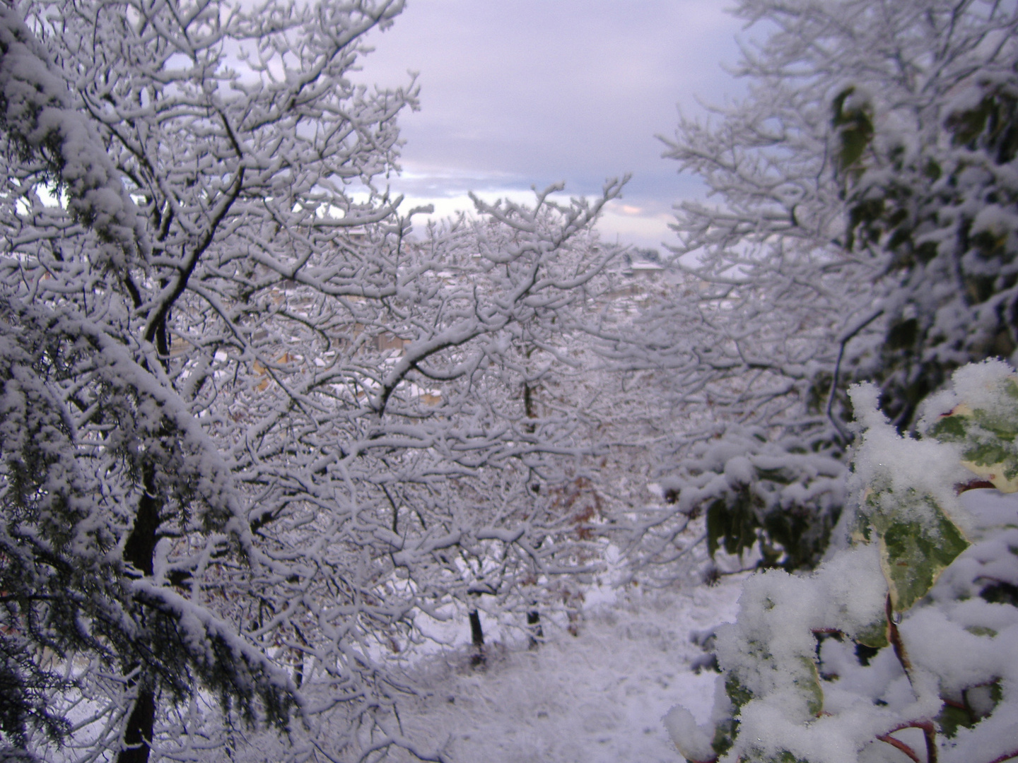 Sotto la neve