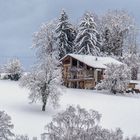 Sotto la neve  Pane 