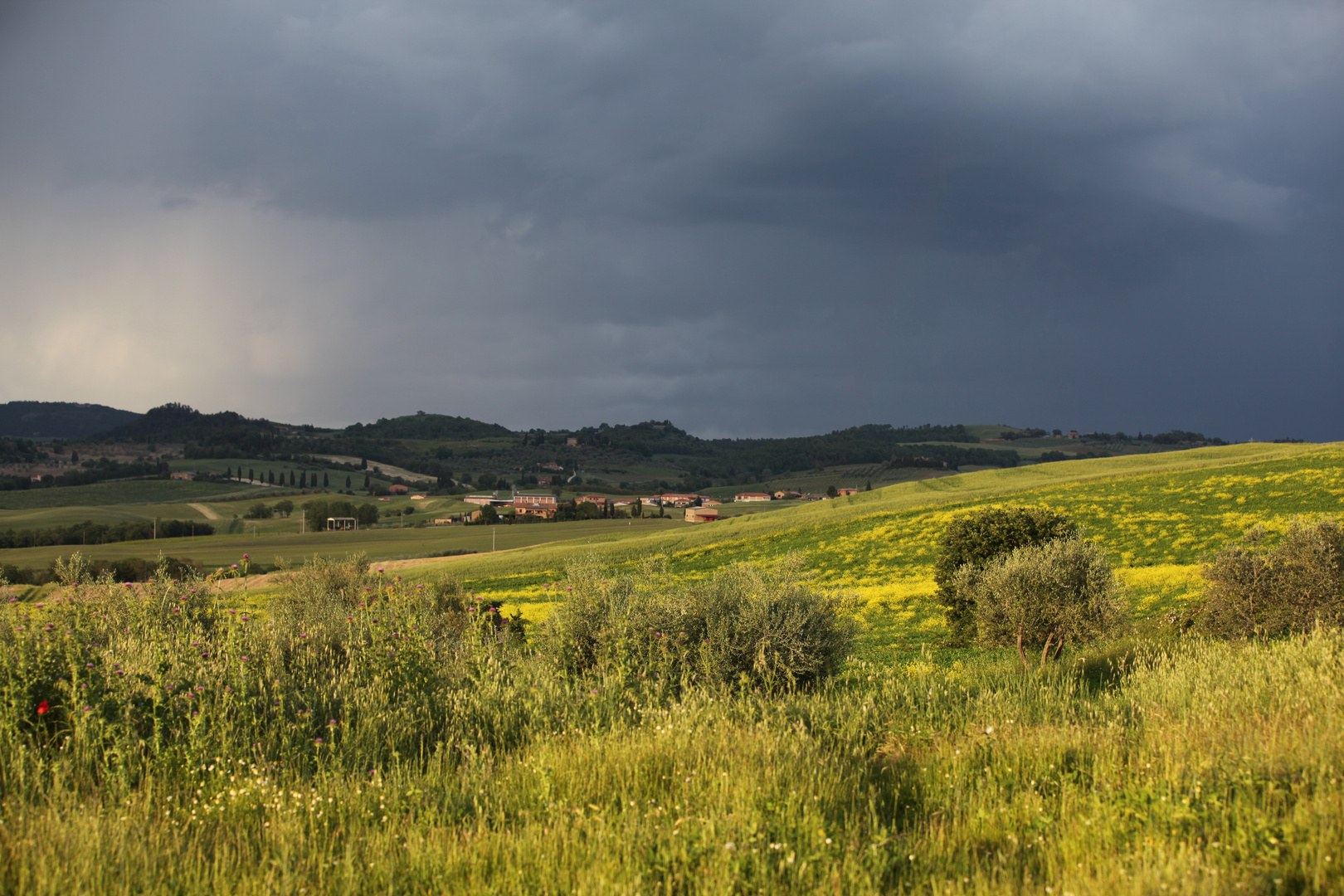 Sotto la pioggia