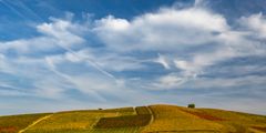 sotto lo stesso cielo di Vincent 