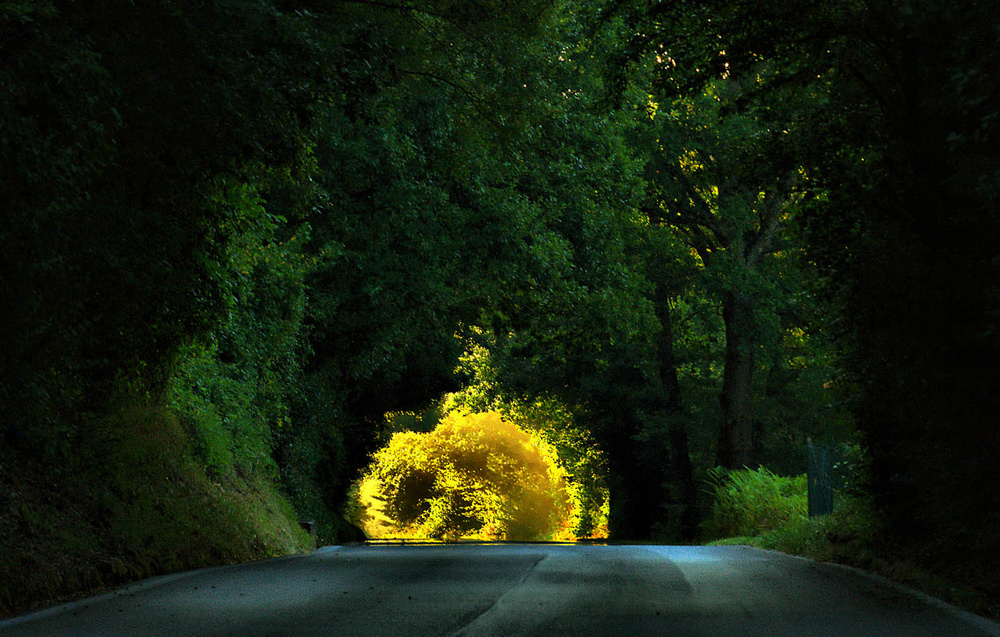 Sotto un tunnel naturale