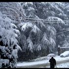 sotto una tormenta di neve