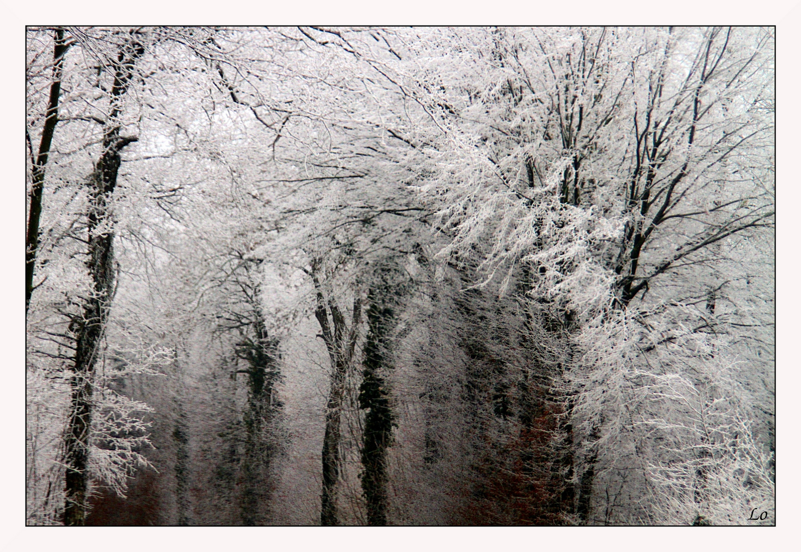 Souffle blanc sur ta peau