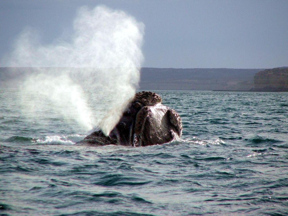 Souffle puissant