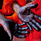  souk des teinturiers . Maroc.