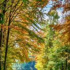 Soul Surfing on Autumn Roads