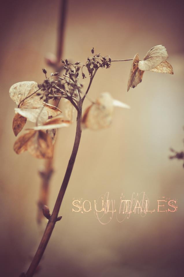 Soul Tales