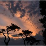 Soulac sur Mer / Frankreich