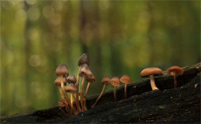 Soul,Glitter and Sin....!