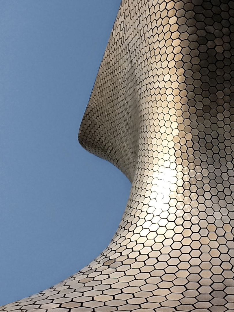 Soumaya Museum, Mexico Citty